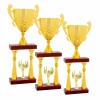 Stĺpová trofej Jiehkkevárri
