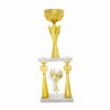 Stĺpová trofej Ineu