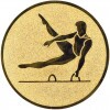 Gymnastika (muži) emblém