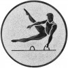 Gymnastika (muži) emblém