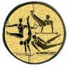 Gymnastika emblém