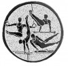 Gymnastika emblém