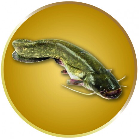 Sumec emblém