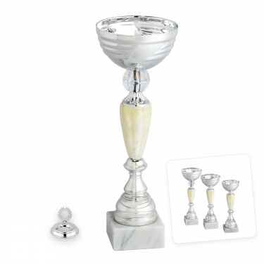 Ekonomický pohár Leonard C