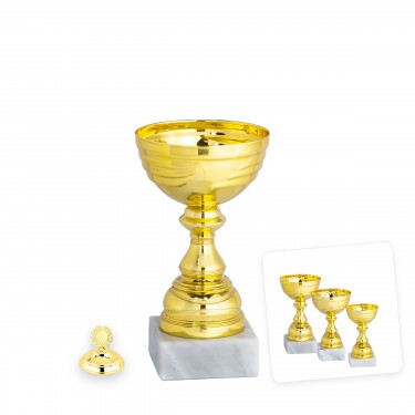 Ekonomický pohár Luca C