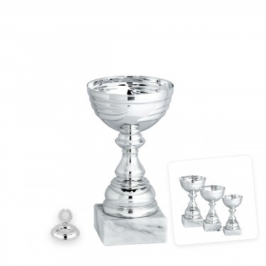 Ekonomický pohár Lotti C